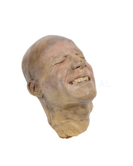 Fake Head 
